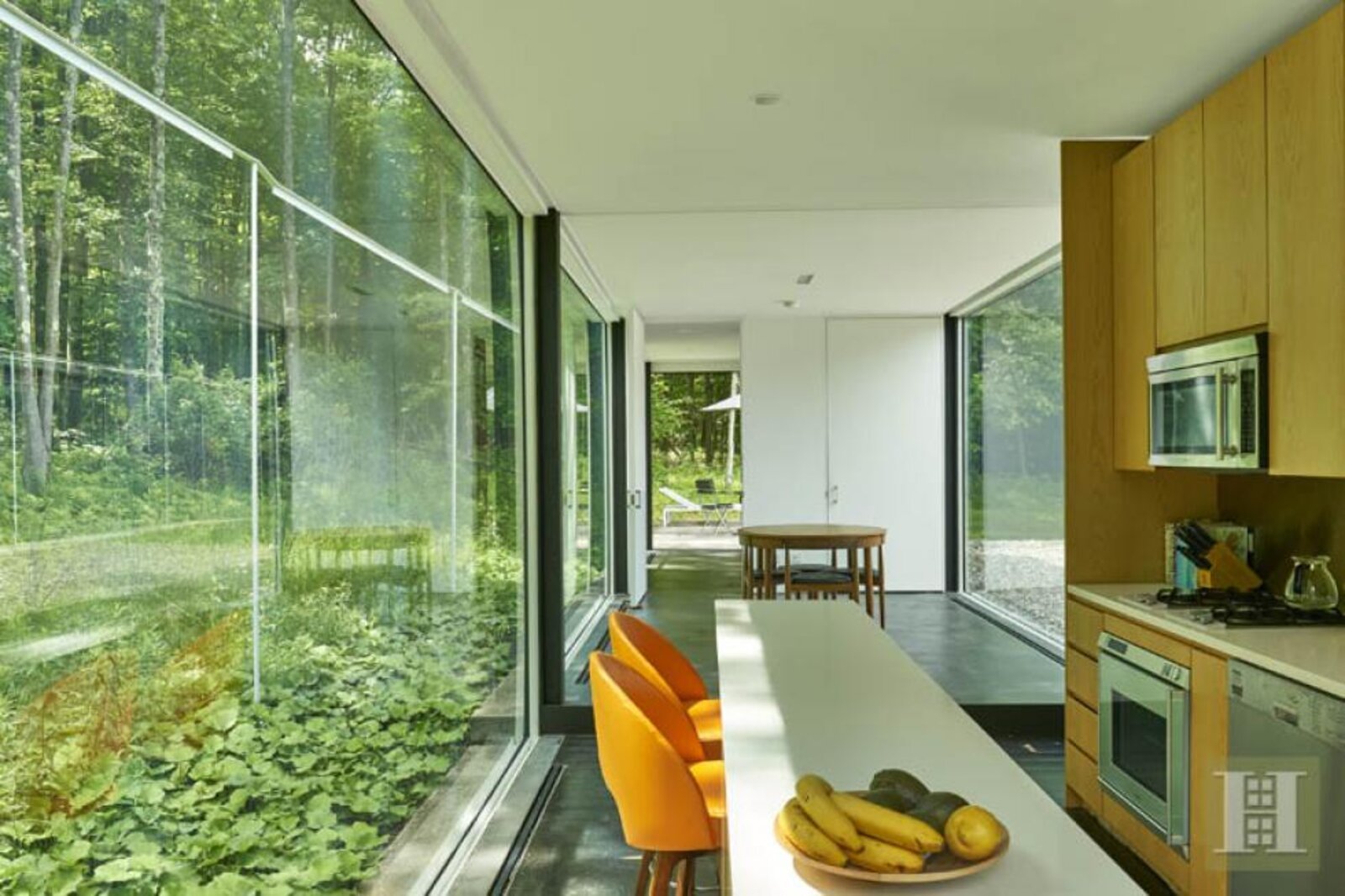 High-performance glazing in modern forest-view kitchen