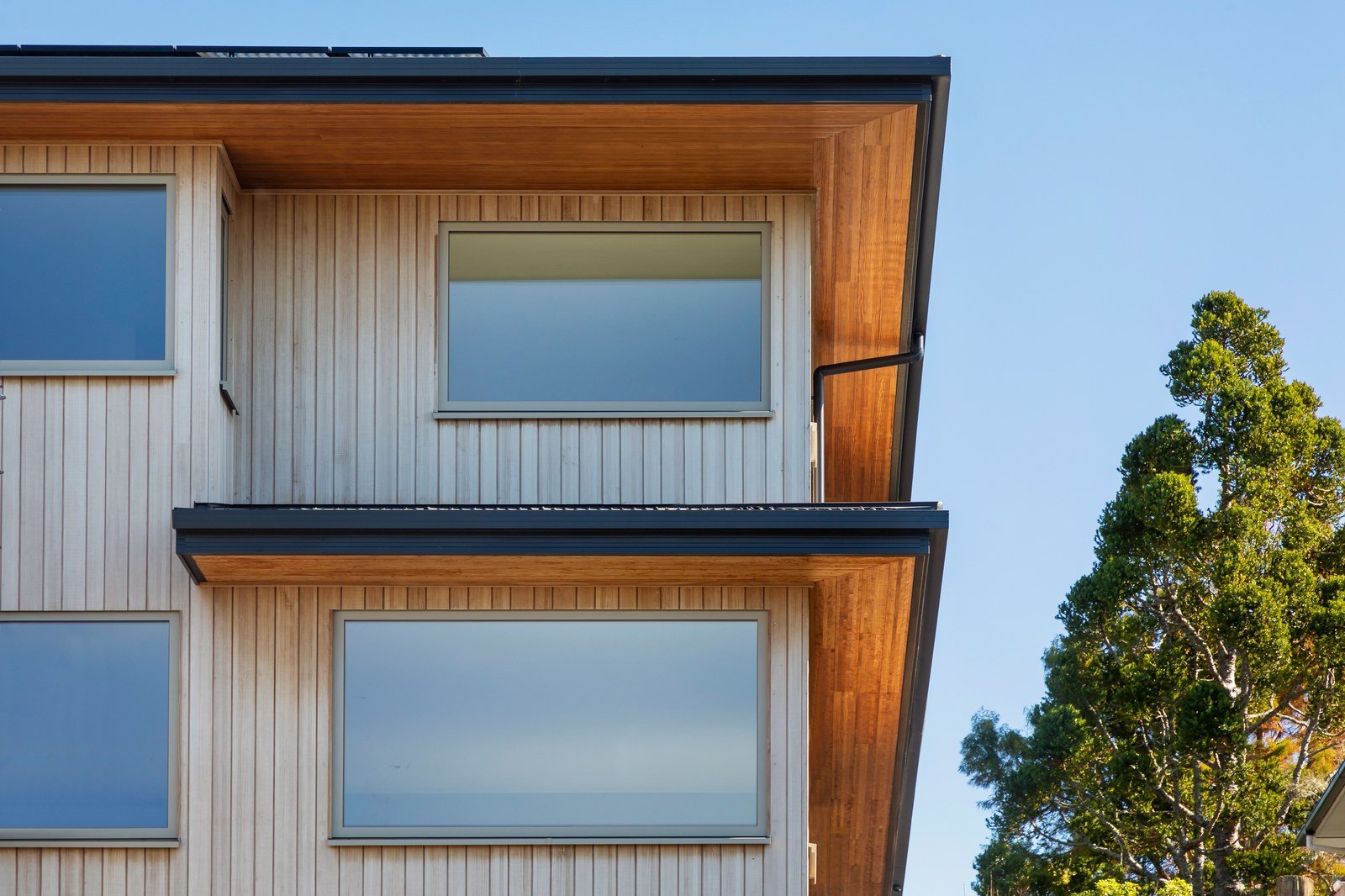 Modern home exterior with timber cladding and large windows
